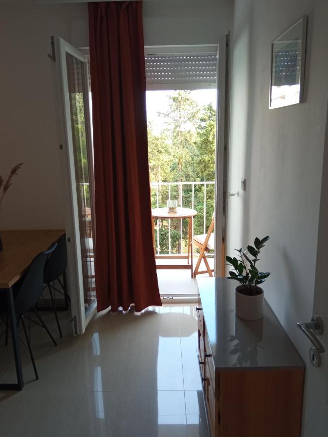 Apartament Apartman Danica Zadar