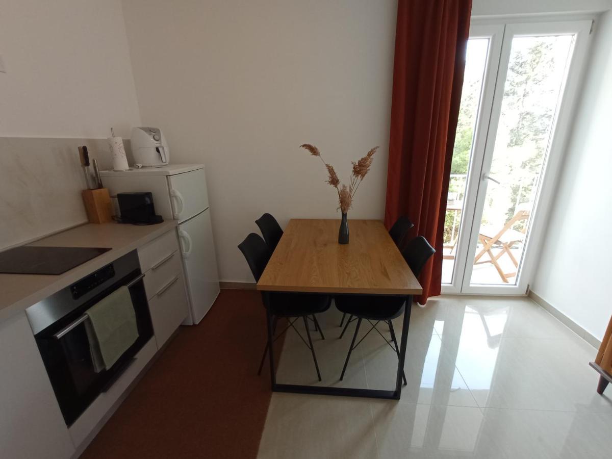 Apartman Danica Apartament